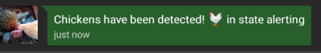 Conversations app showing a message from the chickens reading Chickens have been detected! 🐔 in state alerting